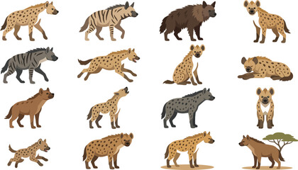 Obraz premium Diverse collection of hyena characters in various natural poses and dynamic actions in a flat vector style set