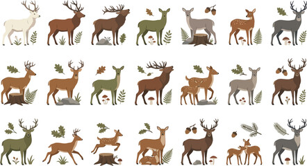 Fototapeta premium Diverse deer species collection featuring various poses, forest plants, and woodland elements in flat vector graphic