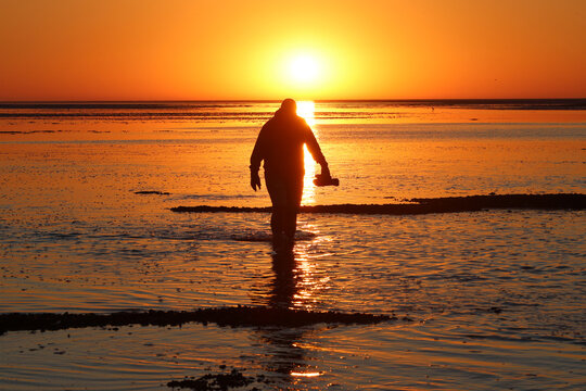 Hiker walking on the Wadden Sea Mudflats at Sunrise in the Netherlands