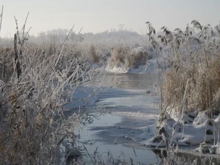 Fototapete Grau Rzeka  © ukasz