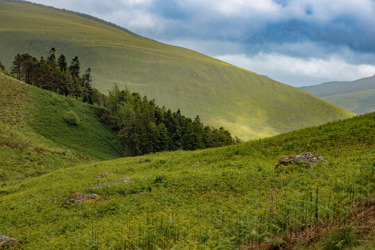 Sunlit green hillside above a small woodland valley