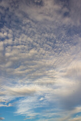 Obraz premium beautiful blue sky with clouds