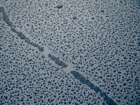 Close up of rain droplets on dark gray surface. Water beads glisten under soft light. Smooth texture reflects subtle reflections. Background fades into misty gray