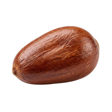 Single raw avocado seed isolated with captured side perspective on transparent background