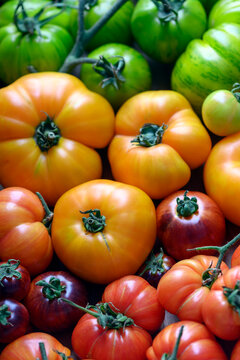 Vertical composition of green and yellow tomatoes with red varieties. Organic farm harvest, colorful produce texture