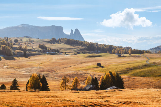 Sciliar rises above the rolling meadows of Alpe di Siusi during autumn in the Dolomites. Scenic alpine landscape with golden larch trees and mountain huts