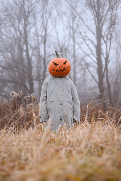 Pumpkin headed scarecrow standing in tall dry grass against a misty woodland backdrop. Atmospheric Halloween scene with muted autumn tones and rural landscape