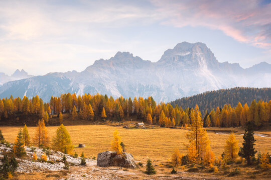 Monte Cristallo towers above golden larch forests and alpine meadows in the Dolomites. Autumn mountain landscape with the first snowfall in northern Italy