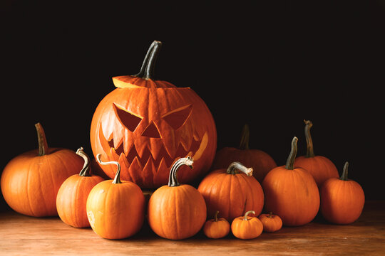 Halloween pumpkin lantern surrounded by decorative gourds and miniature squash on a wooden surface. Cozy autumn composition with warm colors and seasonal atmosphere