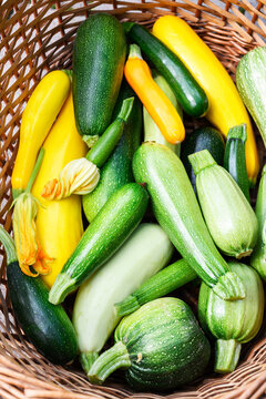 Basket filled with assorted zucchini, fresh organic vegetables, farm harvest concept. Green and yellow squash top view, natural texture, healthy produce
