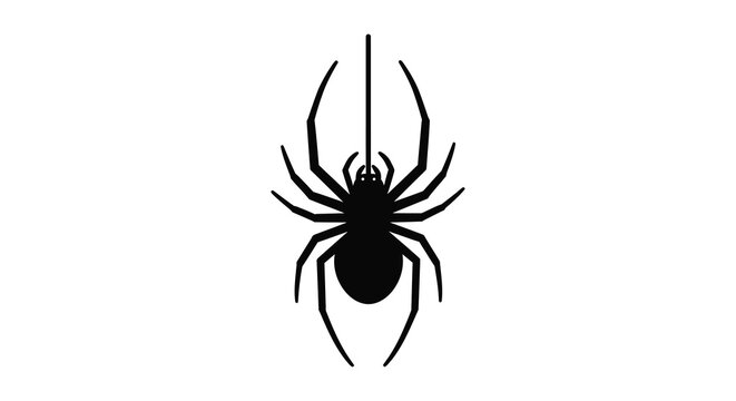 spider silhouette on white background arachnid eight legged