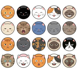 Fototapeta premium A delightful collection of cute cat avatars featuring various breeds and expressive faces in round icons. Perfect for profile pictures, stickers, merchandise, and digital design projects.