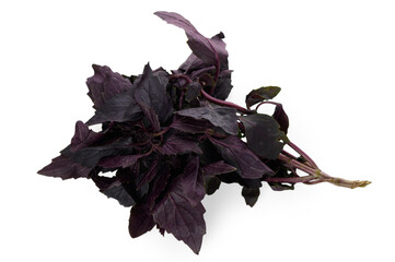Naklejka premium Fresh Cluster of Purple Basil Herbs on White Background