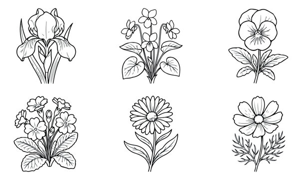 Vintage botanical line art collection, 6 hand drawn floral sketches including iris and pansy, black and white wildflower vector illustrations for wedding stationery
