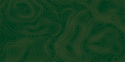Dark green topographic contour line vector background abstract geographic terrain map © Lily