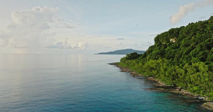 Tegua island landscape, part of the Torres islands in Vanuatu, features a rugged coastline with lush green tropical forest meeting the calm turquoise ocean under soft blue sky. Aerial drone flight