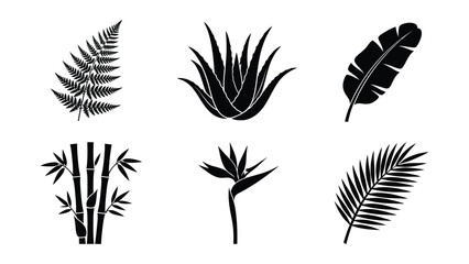 Six tropical plants vector illustration © MohammadAkib