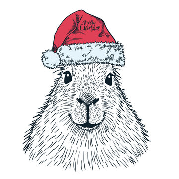 Vector Christmas greeting card. Hand drawn sketch capybara wearing red santa claus hat. Holiday print design element