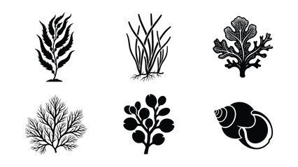 Black and white seaweed and marine plants vector illustration © MohammadAkib
