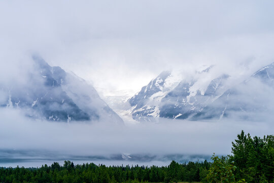 Glaciers along Alsek River, Alaska