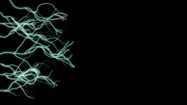 Organic Branching Network Growth with Glowing Filament Connections on Black Background