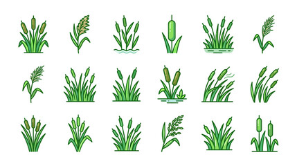 Fototapeta premium Cattail Plants Collection Vector Illustration