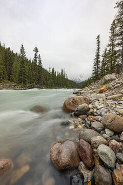 Glacial River Winding Through Mistaya Canyon, Banff National Park