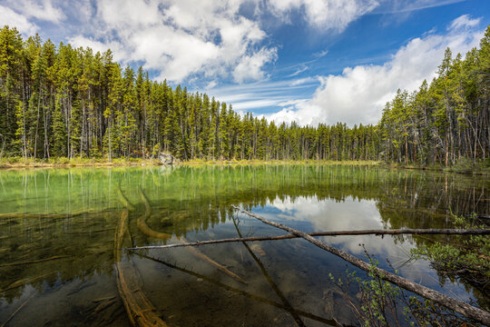 Tranquil Reflections at Herbert Lake, Banff National Park