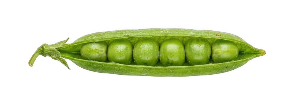 fresh pea pod png green pea pod png opened pea pod png organic pea pod cutout healthy pea png sweet pea pod png raw pea pod cutout vibrant isolated transparent background image