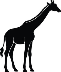 Fototapeta premium Giraffe, Silhouette, Black, Wild, Icon