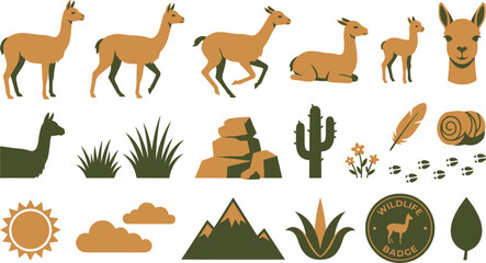 Obraz premium Vicuna animal vector set. Flat illustration of wild camelids in Andean mountain landscape.