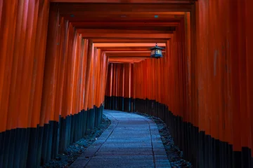 Fototapete Torii Tore 日本の風景・夏　京都　伏見稲荷大社　千本鳥居  © Yuta1127