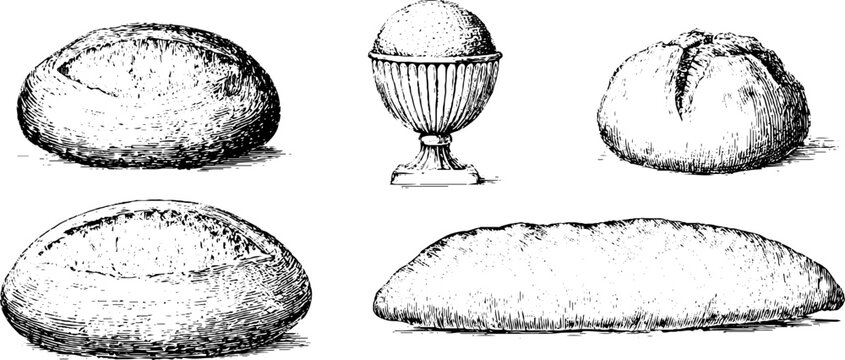 Sourdough bread assortment featuring loaves and boule collection for bakery poster and packaging design in vintage engraving style