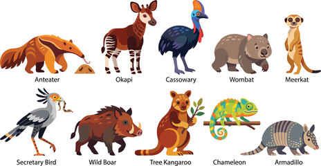 Obraz premium Exotic Wildlife Animal Vector Collection Featuring Mammals Birds and Reptiles Cartoon Illustrations