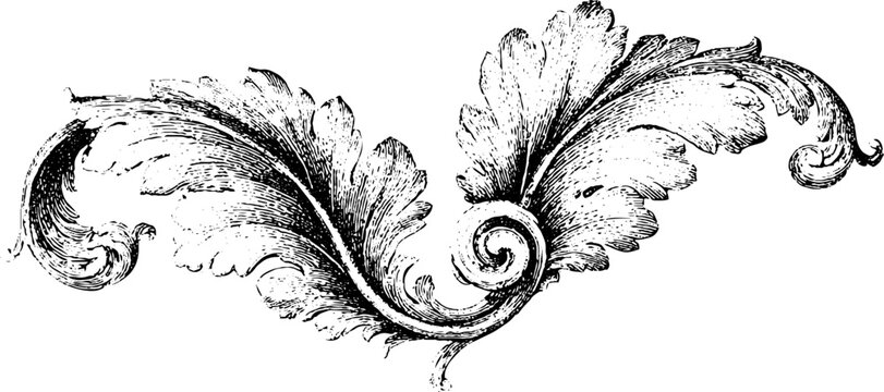 Vintage engraved acanthus leaf frieze with central spiral curl for classical ornamental border and decorative corner design