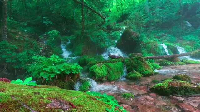 Kamni&scaron;ka Bistrica river, Kamnik, Slovenia
