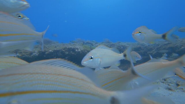 underwater