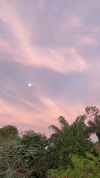 sunset in the Manaus Amazonas Brasil