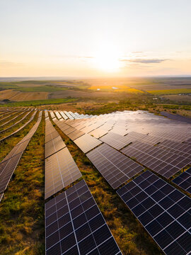 Solar panels collect sunlight at sunset on a field, showing renewable energy in action on a bright evening