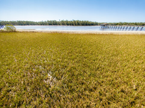South Carolina marshland with a wooden pier extending over the water