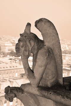  Gargoyles Notre Dame cathedral of Paris one of the most famous landmarks in France. The famous stone statues of Notre Dame Cathedral in Paris France