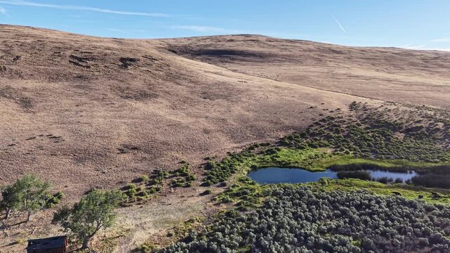 Aerial drone flyover of an abandoned homestead cabin and livestock watering pond in the Smoke Creek Desert, Lassen County, California.