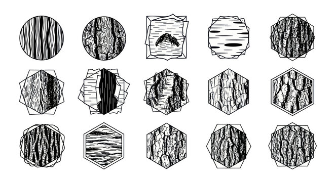 Tree Bark Textures and Geometric Frame Vector Set