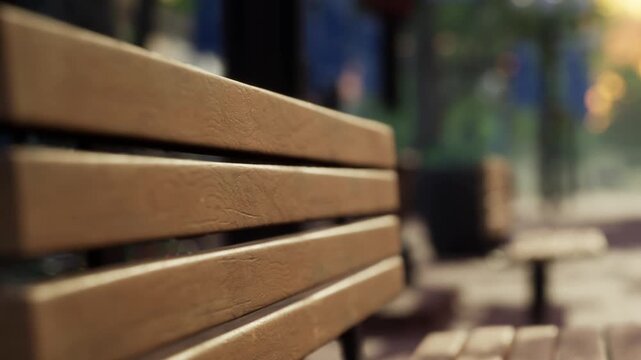 A close view of a wooden bench shows the texture of the wood. People can be seen sitting and walking in the background. The setting is bright and the sun is shining.