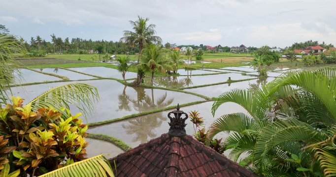 Bali rural landscape. Lush green palm trees frame a traditional Balinese gazebo overlooking flooded rice fields reflecting the sky and distant village houses on a cloudy day in Indonesia. Drone flight