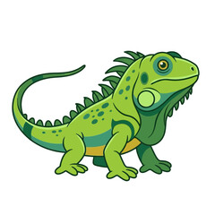Fototapeta premium Green iguana vector character illustration isolated on white background for animal and nature design