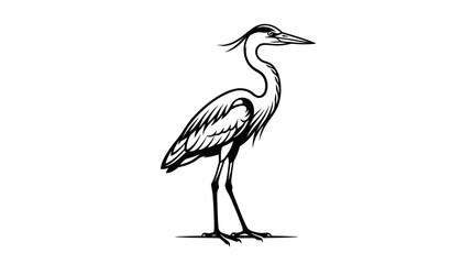 Obraz premium Elegant heron bird standing still on white background