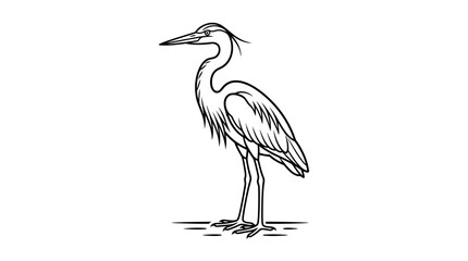 Obraz premium Elegant heron bird standing still on water surface
