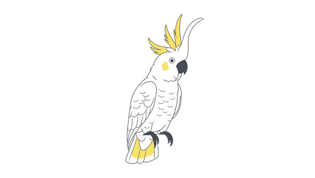 Sulphur-crested Cockatoo Cartoon Illustration, Isolated White Background, Tropical Bird Vector Style