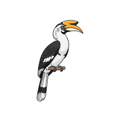 Fototapeta premium Great Hornbill Bird Cartoon Illustration Isolated on White Background